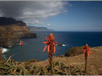 Ilustrační obrázek do seznamu nebo pro pouták