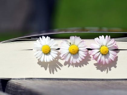 Ilustrační obrázek do seznamu nebo pro pouták