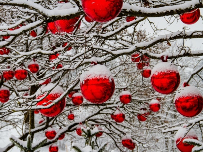 Ilustrační obrázek do seznamu nebo pro pouták