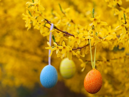 Ilustrační obrázek do seznamu nebo pro pouták