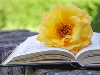 Ilustrační obrázek do seznamu nebo pro pouták